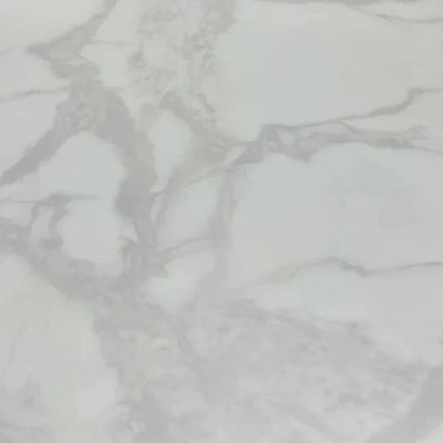 Arial Marble & Chrome Dining Table + Lion Knocker Velvet Chairs-Esme Furnishings