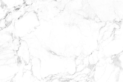 Athena 180cm Marble Dining Table + Lion Knocker Plush Velvet Dining Chairs - Special Promo Price-Esme Furnishings